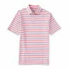 Discount ❤️ Daniel Cremieux Signature Stripe Baby Terry Short-Sleeve Polo ???? Shirt Berry ???? -Cremieux Shop unnamed file 1118