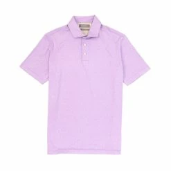 Top 10 ???? Daniel Cremieux Signature Solid Performance Interlock Short-Sleeve Polo ???? Shirt Lunar Rock ???? -Cremieux Shop unnamed file 462
